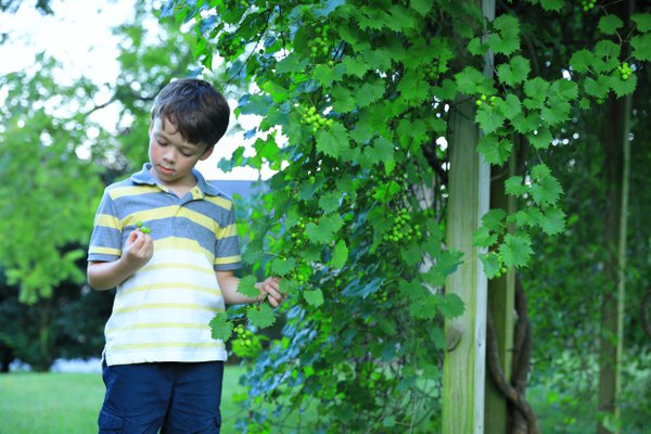 Kids example