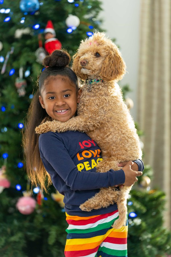 Pet example