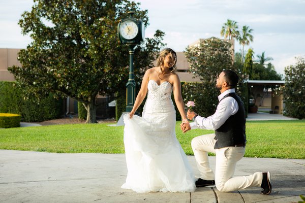 Wedding example