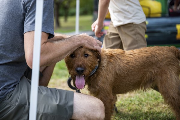 Pet example