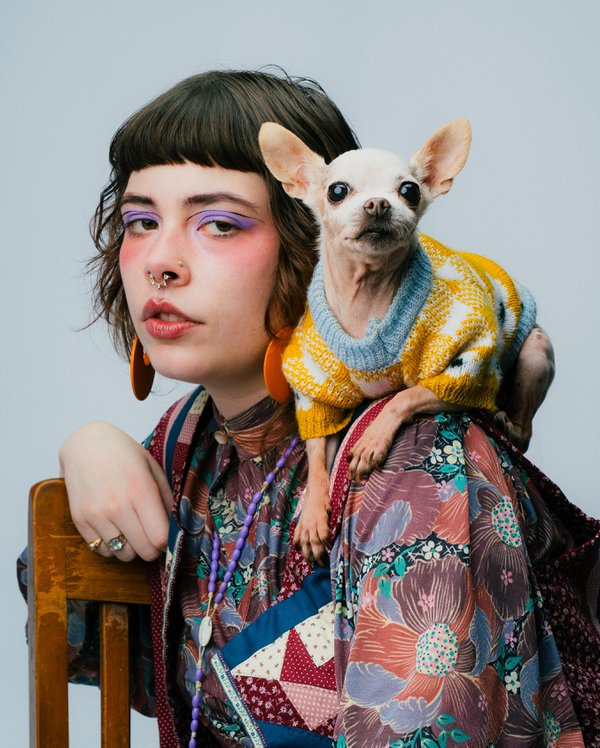 Pet example