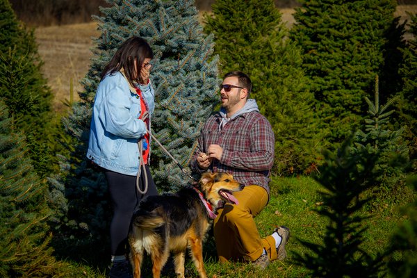 Engagement example