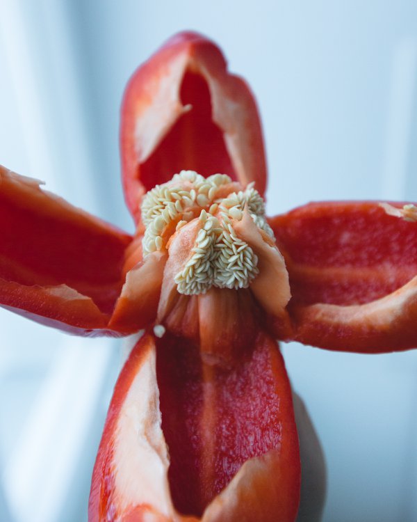 Food example