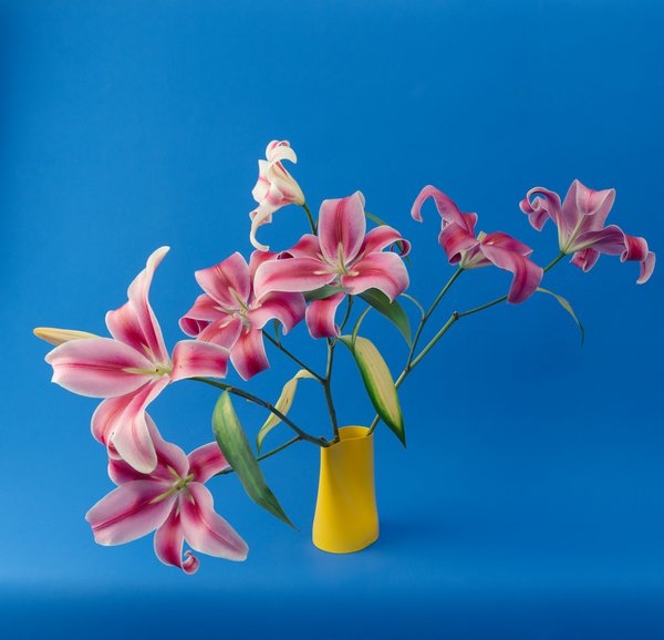 Product example