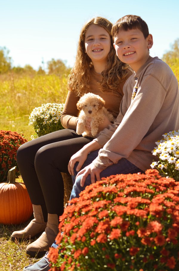 Family example