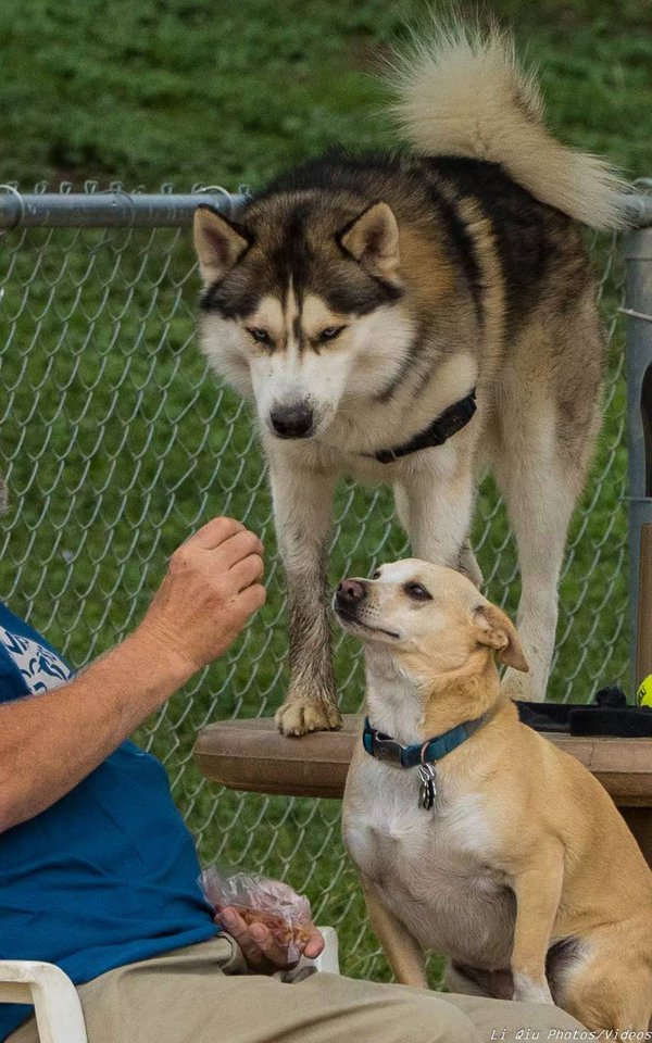 Family example