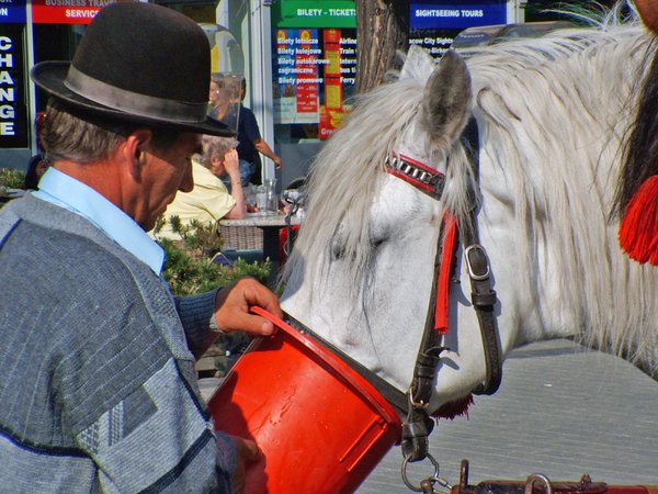 Travel example