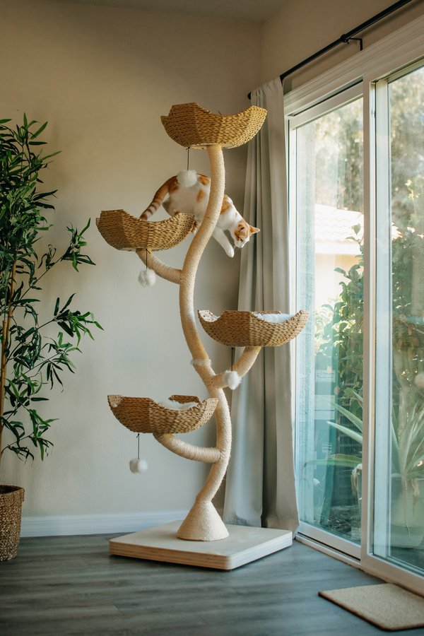 Product example