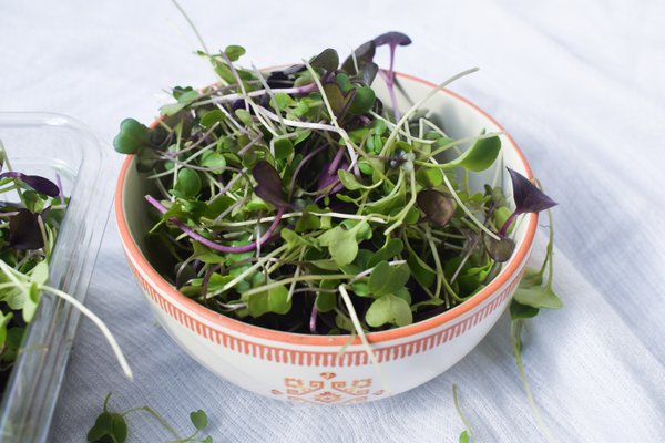 Food example