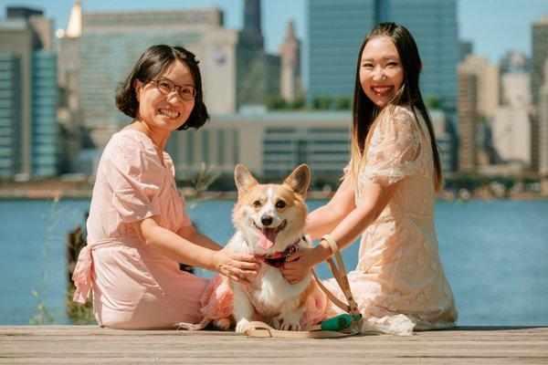 Pet example