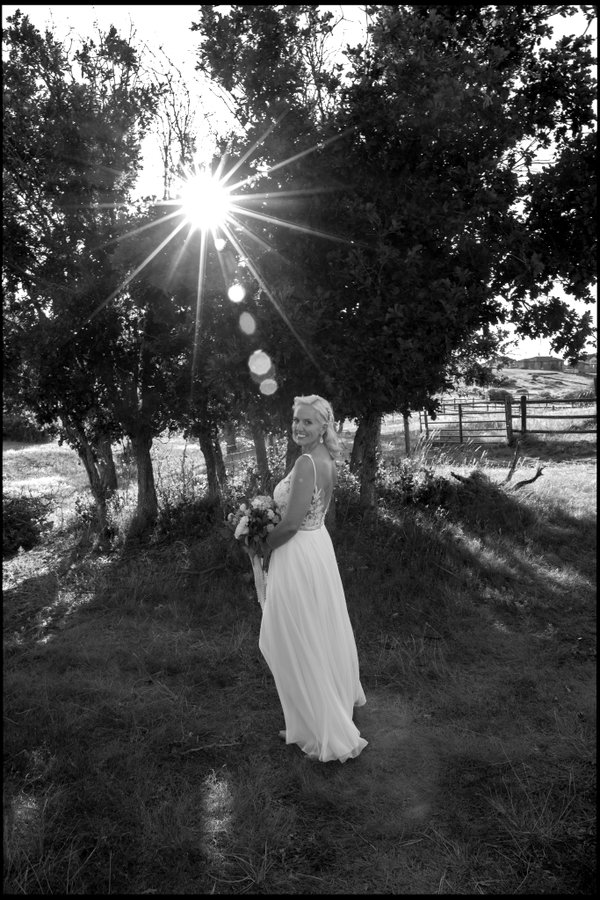 Wedding example