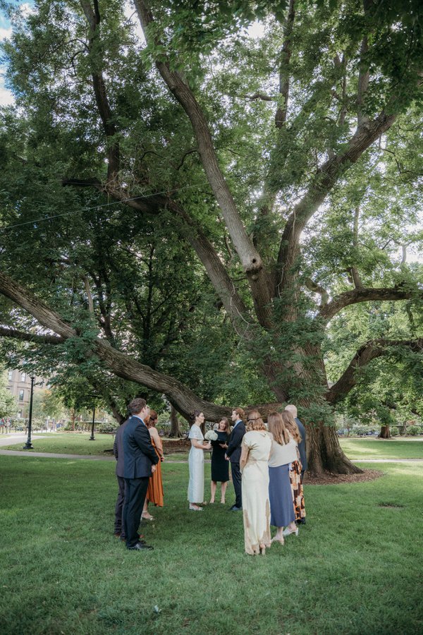 Wedding example