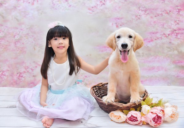 Pet example