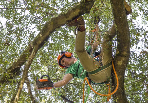 Team & Office example