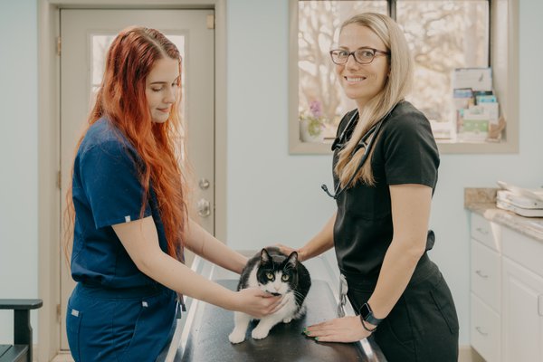 Team & Office example