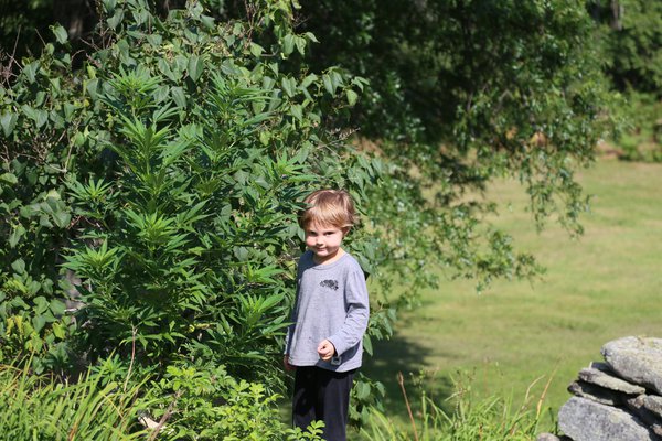 Kids example