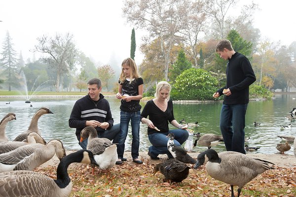 Family example