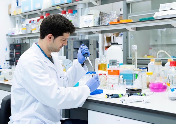 Team & Office example