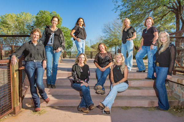 Team & Office example