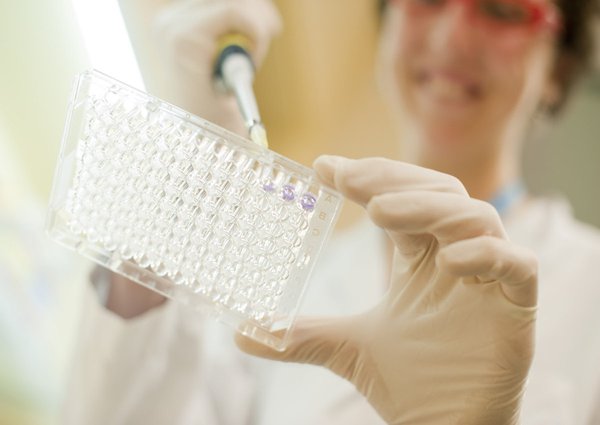 Team & Office example