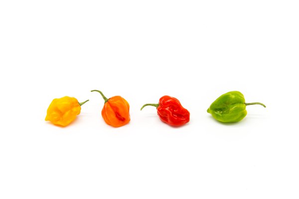 Food example