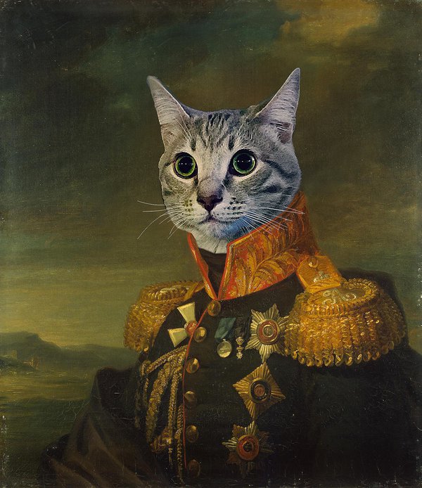 Pet example