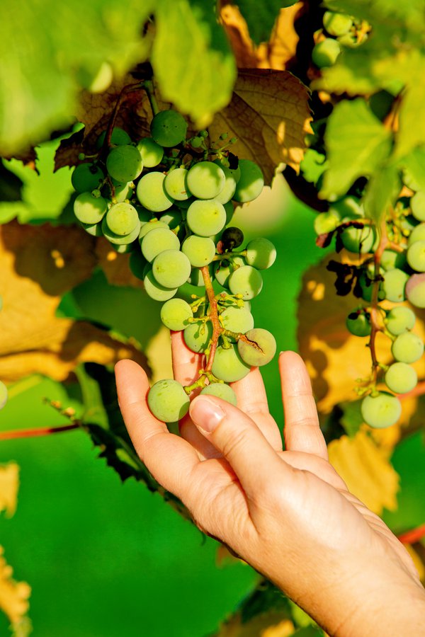 Team & Office example