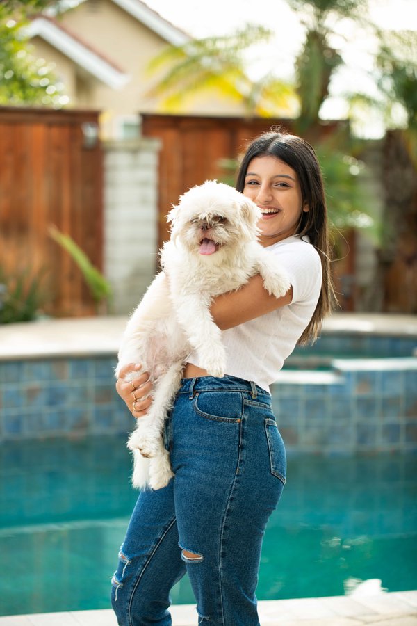 Pet example