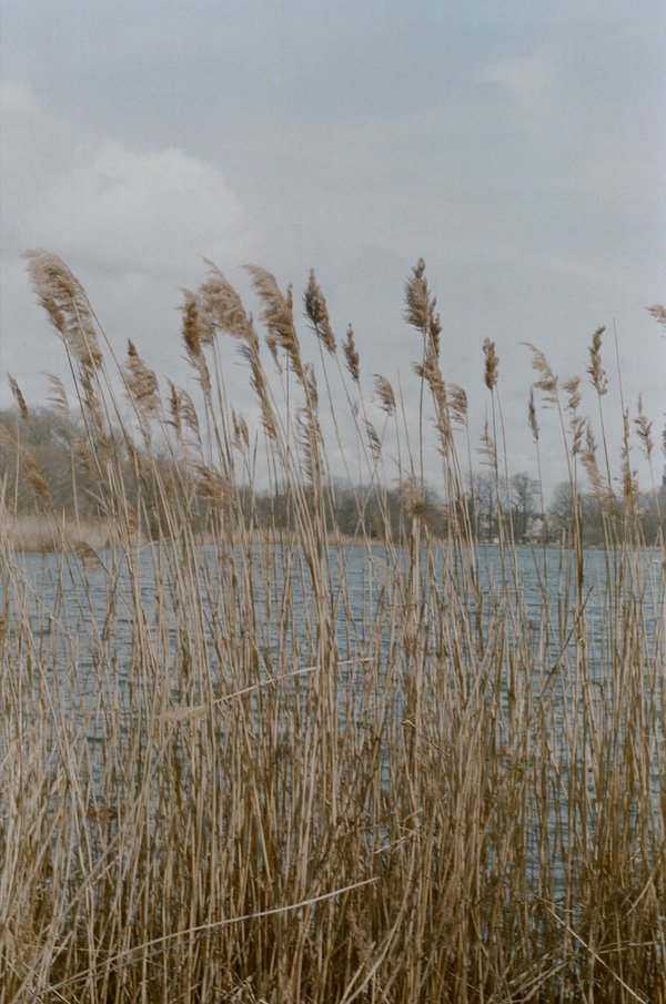 Travel example