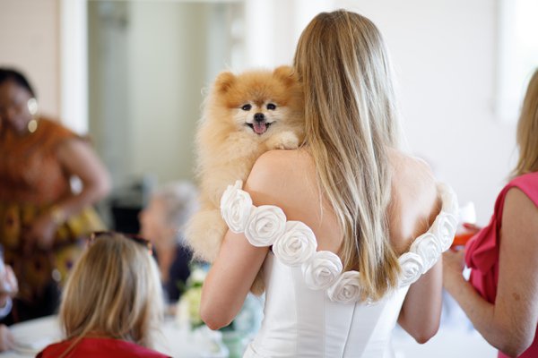 Wedding example