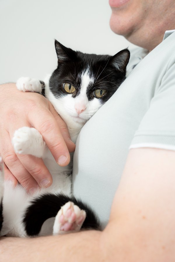 Pet example