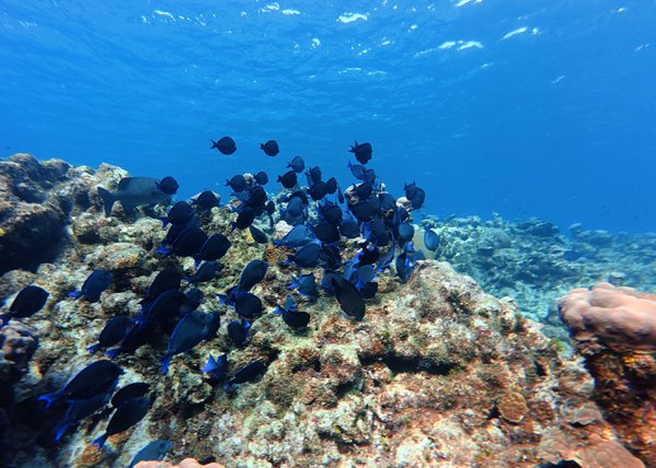Travel example