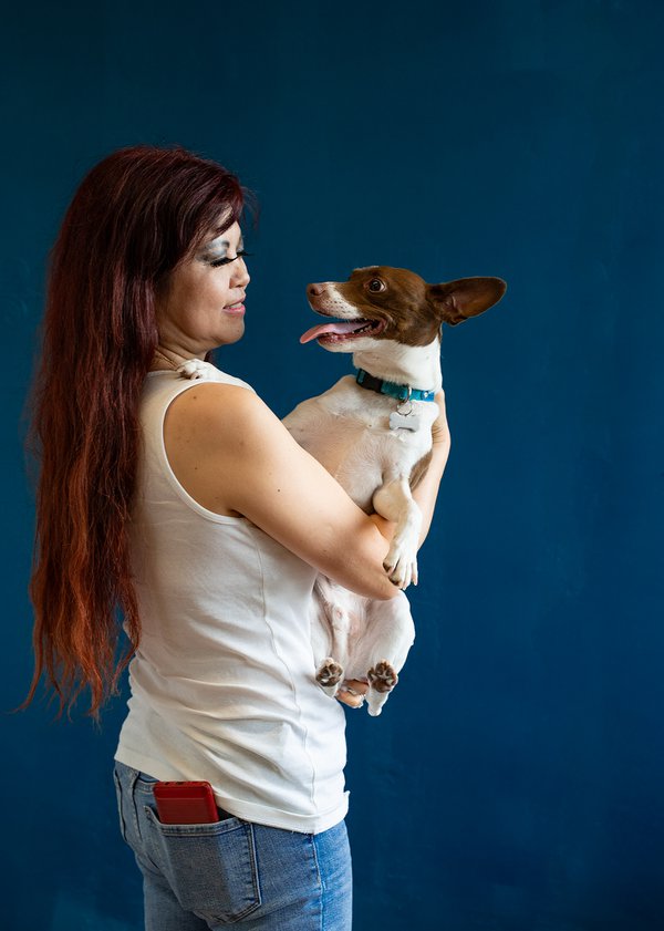 Pet example
