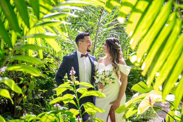 Wedding example