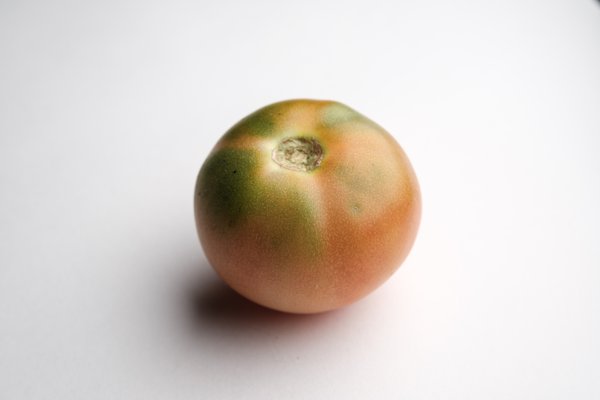 Food example