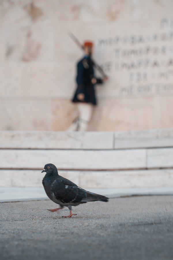 Travel example
