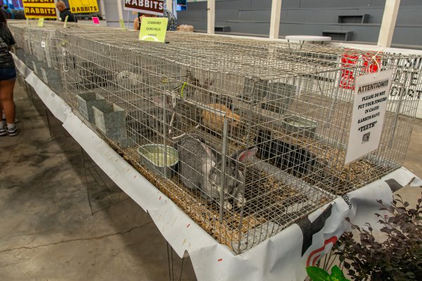 Event example