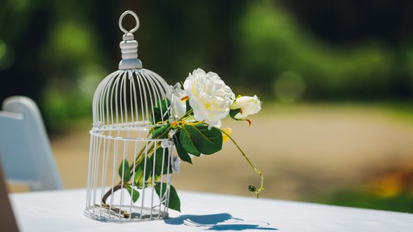 Wedding example