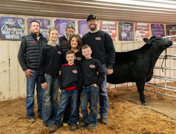 Team & Office example