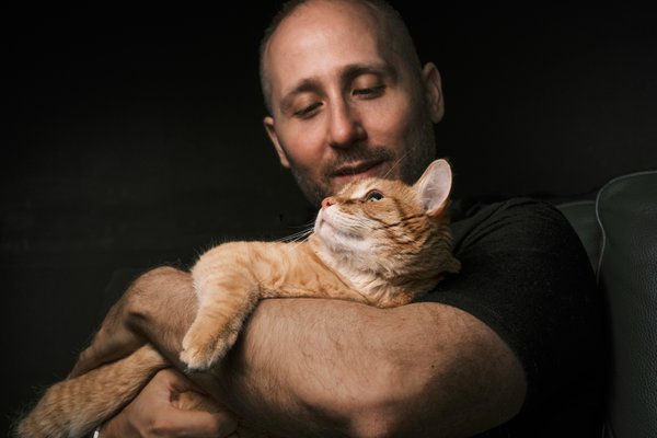 Pet example