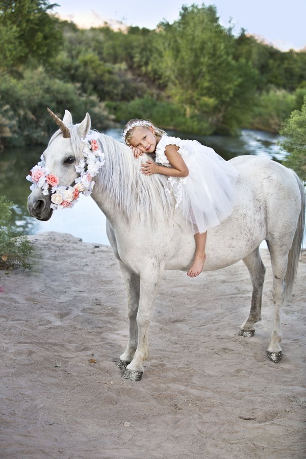 Pet example