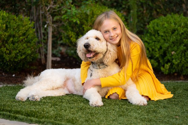 Pet example