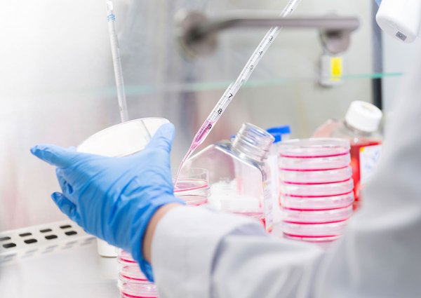 Team & Office example