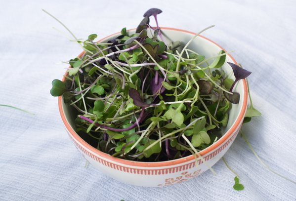 Food example