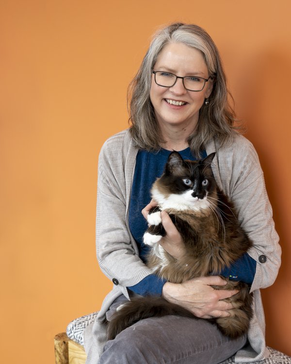 Pet example