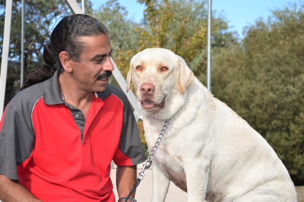 Pet example