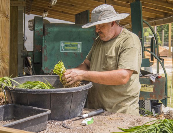 Team & Office example