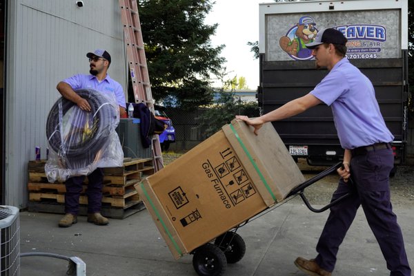 Team & Office example