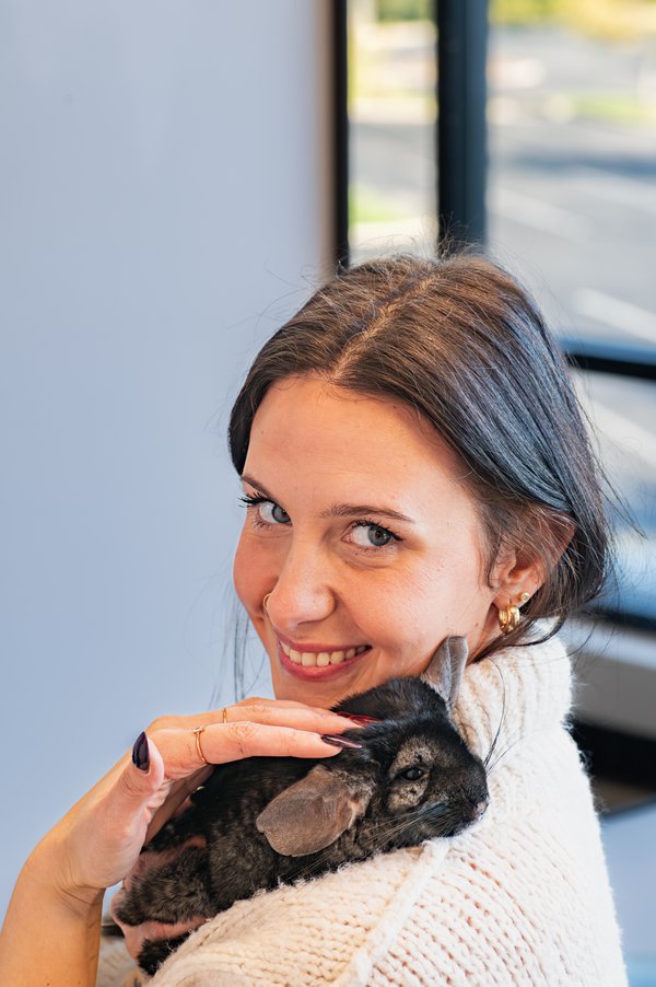Pet example