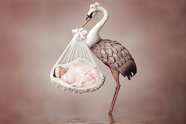 Newborn example
